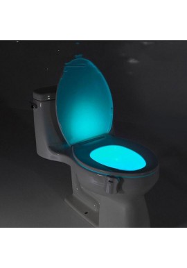 Toilet Light